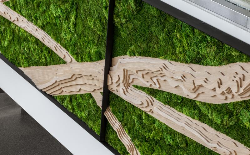“Close-up of a green wall installation with textured green foliage and layered tan, branch‑like forms intersecting within black-framed panels.