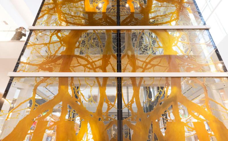 Thick trunk forms branching into fine twisting limbs across the glass panels, mirrored symmetrically down the center. 
