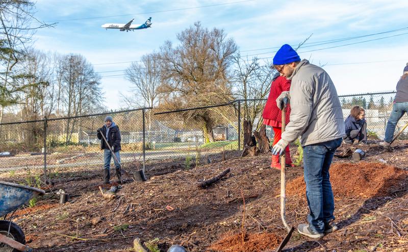 Several people working outdoors near a fence, digging and planting in a dirt area, with an airplane flying overhead.
