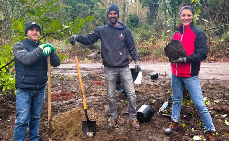 Three people in an outdoor forested area preparing to plant a tree, holding a shovel, soil, and tools.