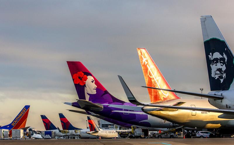 Airplane tails from multiple airlines lined up on an airport tarmac.