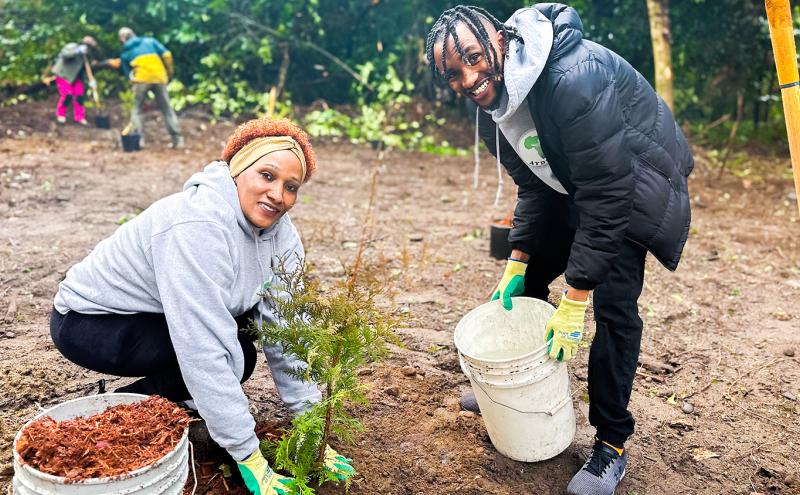 Two individuals work together in an outdoor restoration area, one kneeling to plant a small evergreen tree and the other holding a white bucket. Both wear gloves and casual outdoor clothing. Additional people are visible in the background tending to the natural, wooded environment.