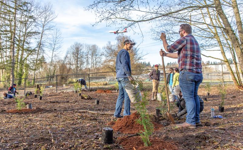 Group of people planting young trees in a cleared outdoor area with shovels and buckets, surrounded by tall trees and fencing, while an airplane passes overhead in the sky.