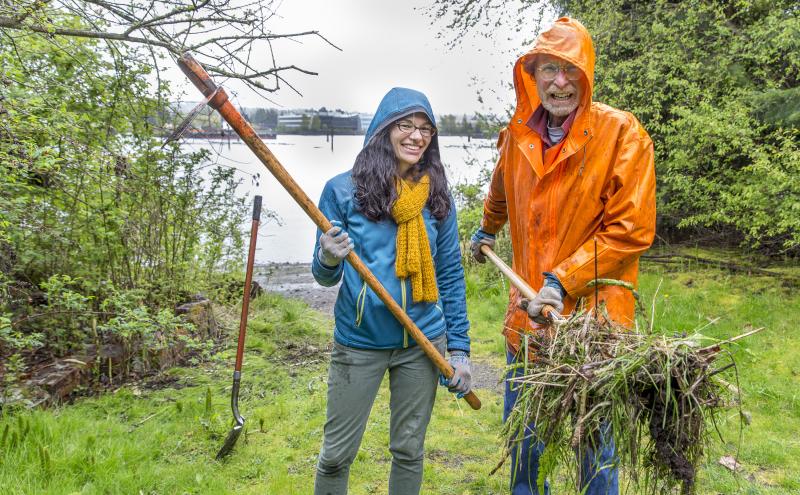 Two port staff members clean up park along the Duwamish with shovel 