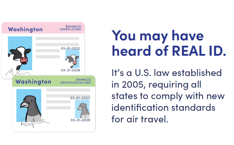 You may have heard of Real ID. It's a U.S. law established in 2005, requiring all states to comply with new identification standards for air travel.