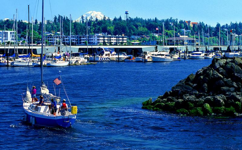 A sailboat with several people onboard moves through a marina toward open water, with rows of docked boats, waterfront buildings, and a forested hillside in the background.