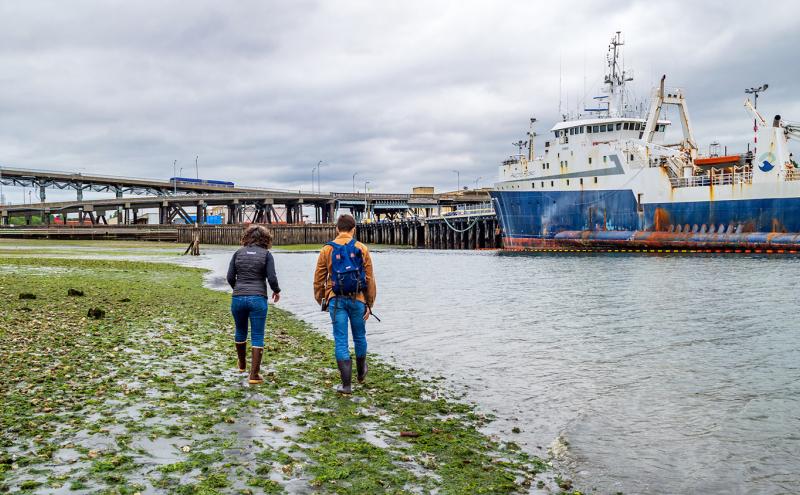 Two people walk along a muddy shoreline covered with seaweed and small rocks, heading toward a large docked vessel. A multi‑level bridge structure spans the background under an overcast sky.