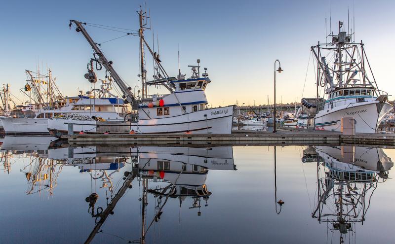 Boats at Fishermen's Terminal