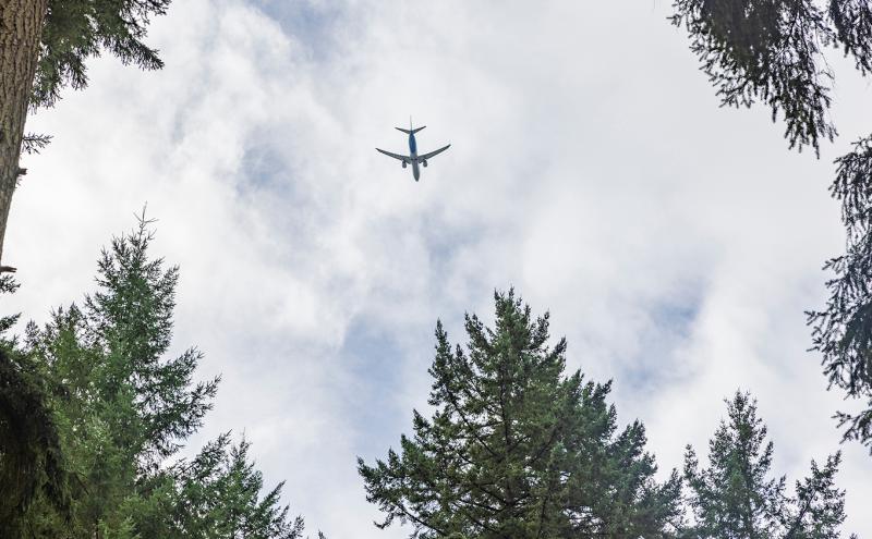 A passenger airplane flies overhead against a cloudy sky, framed by tall evergreen trees.