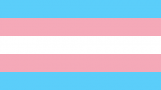 Transgender Pride Flag.