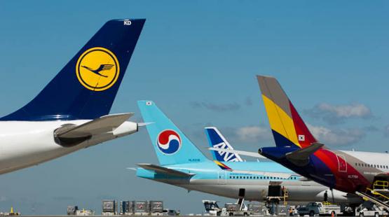 Nonstop International Routes