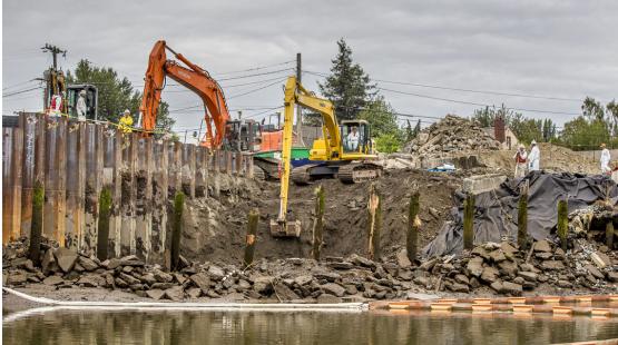 Duwamish Habitat Restoration