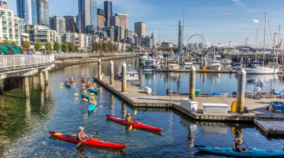 Kayakers paddle along the waterfront of downtown Seattle amongst the docks of Bell Harbor Marina.