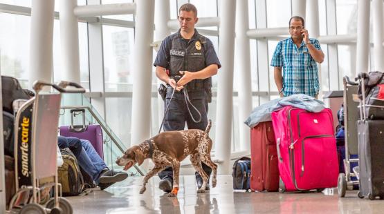 K9 Police offer surveys luggage.