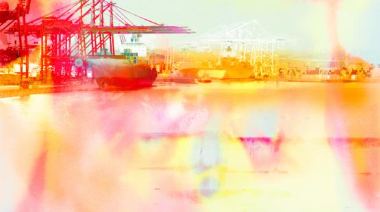 Harbor Morning.
