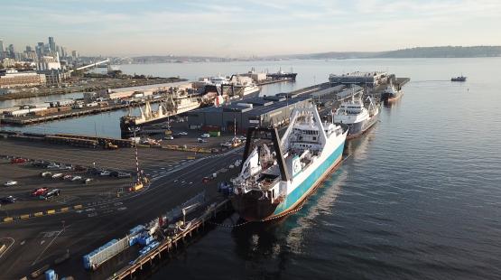 Fishing vessels moored at Terminal 91