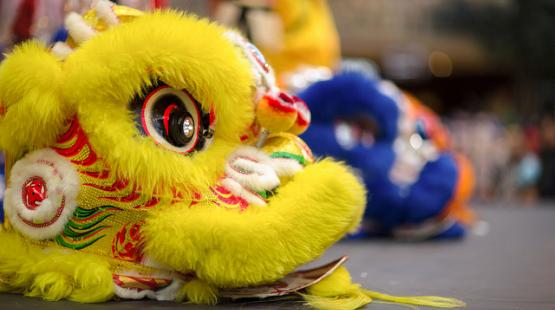 Lion dancer, lunar new year.