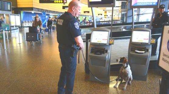 Officer Bella on patrol in the terminal.