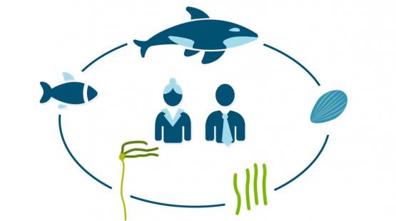 Blue carbon circle of life graphic.
