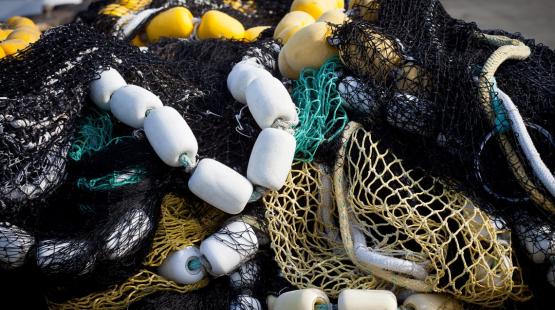 Maritime nets and buoys.