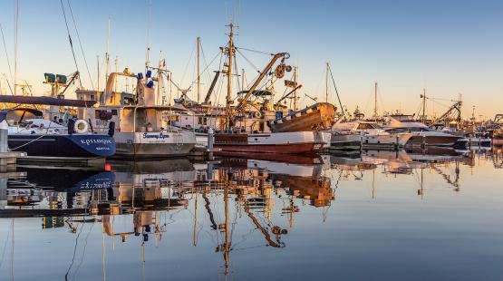 Fishermen's Terminal.