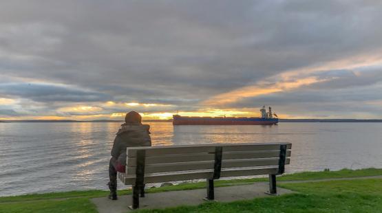 Person on a bench at Terminal 86 with a sunset and container ship.