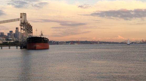 View of Elliott Bay.
