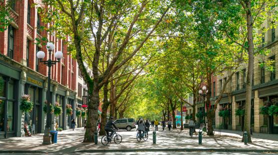 Tree‑lined city street with large leafy trees forming a canopy over the road. People ride bicycles and walk along the shaded street, which is bordered by historic brick and stone buildings with hanging flower baskets and streetlamps.