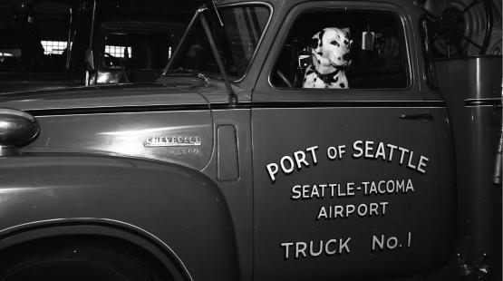 Historic black and white photo of Dalmatian sitting in Port of Seattle Fire Department fire truck.
