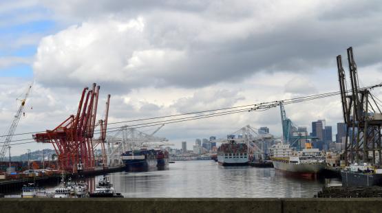 Container cranes and cargo vessels along the waterfront in Elliott Bay, with the Seattle skyline visible under a cloudy sky.