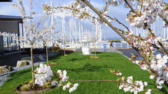Marina Environmental