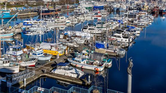 Recreational Services, Amenities & Rates