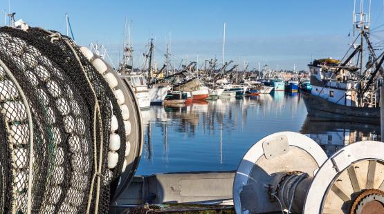 Net spools and fishing boats at Fishermen's Terminal.