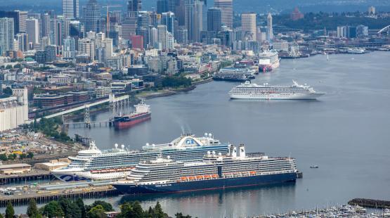 Ships at the Port of Seattle PIer 66 and PIer 91