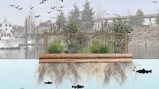 Floating Wetland Demonstration Project