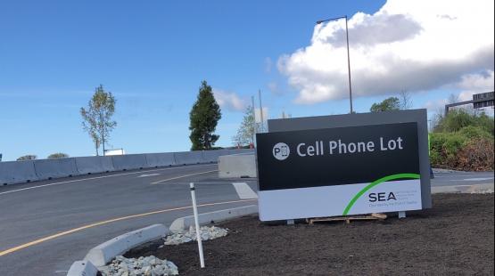Cell Phone Lot