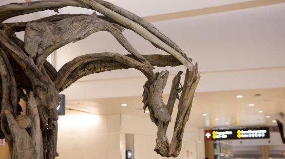 A large driftwood sculpture displayed in an indoor public space with overhead signs in the background.
