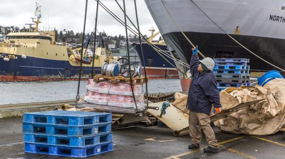 Maritime Stormwater Tenant Information