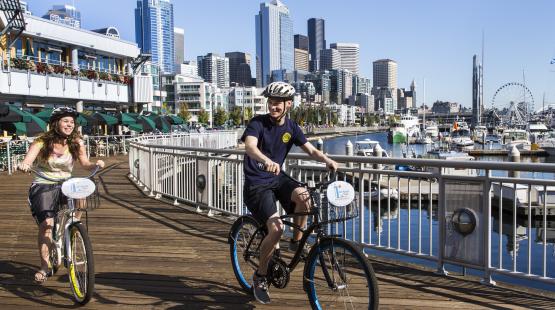 Visit Bell Harbor Marina