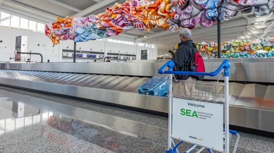 A passenger waits for luggage at a bag carousel in the new IAF, colorful art hangs overhead.