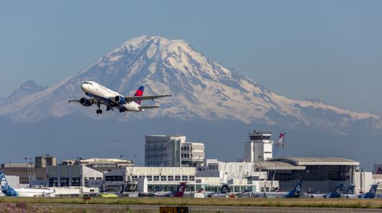 Aviation Sector