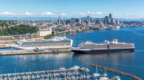 Aerial waterfront view showing two large cruise ships docked side by side at a terminal, with a marina full of smaller boats in the foreground and a city skyline and hills in the background.