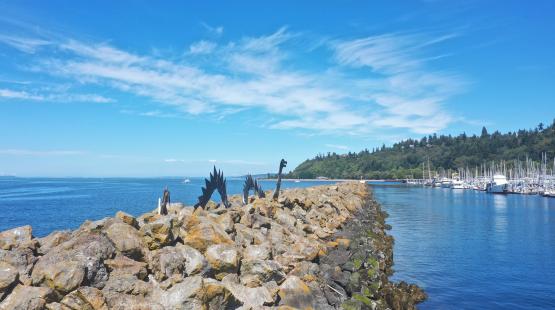 Visit Shilshole Bay Marina