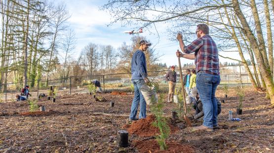 Land Stewardship Principles