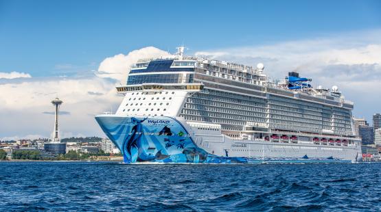 Cruise