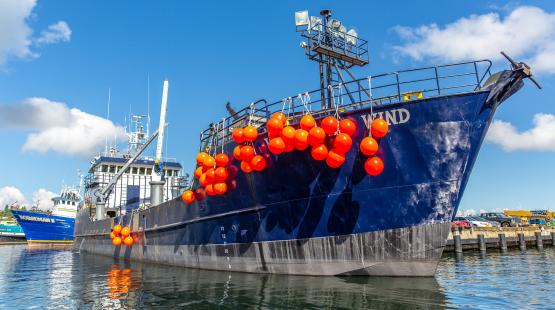 Fishing & Commercial Moorage