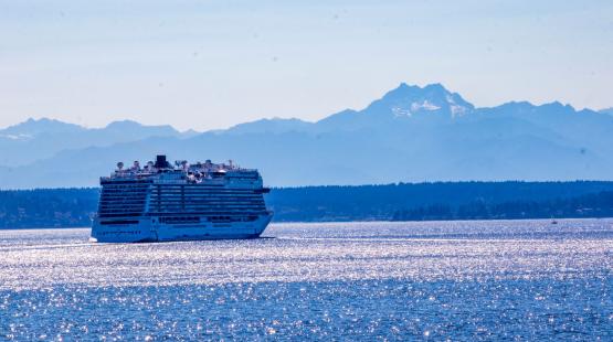 A large cruise ship travels across a sunlit blue bay with forested shoreline in the distance and tall, snow‑dusted mountains rising in the background.