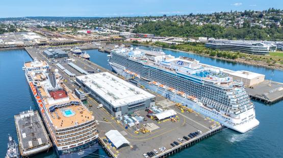 Two cruise ships docked at Smith Cove Cruise Terminal