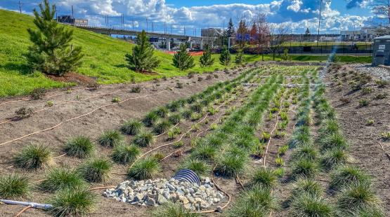 Airport Stormwater Tenant Information