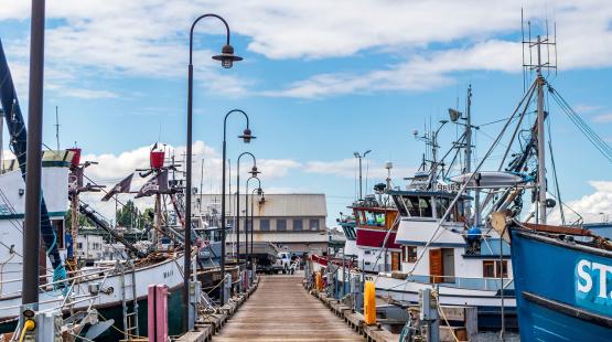 Wooden dock lined with fishing vessels on both sides, with tall dock lights and a building at the end under a partly cloudy sky.